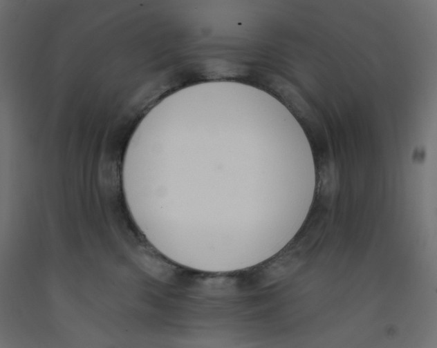 X0000092320426200710121526