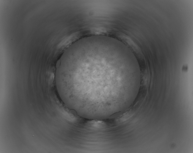 X0000092320427200710121526