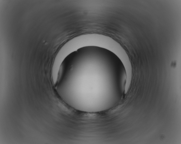 X0000092320428200710121526