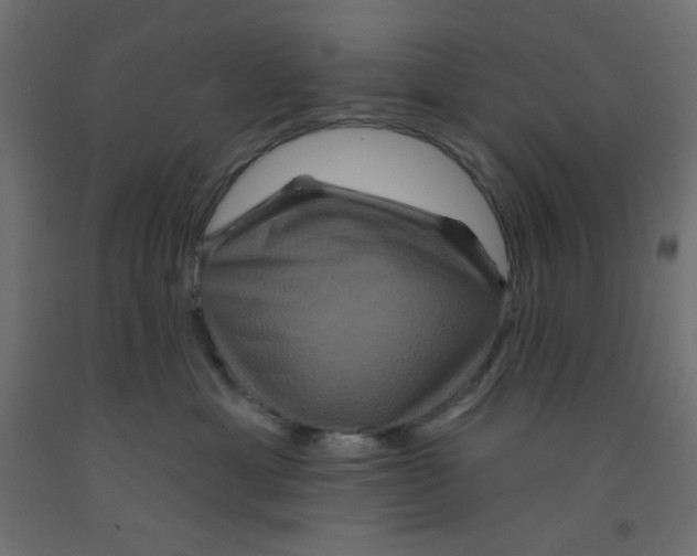 X0000092320429200710121526