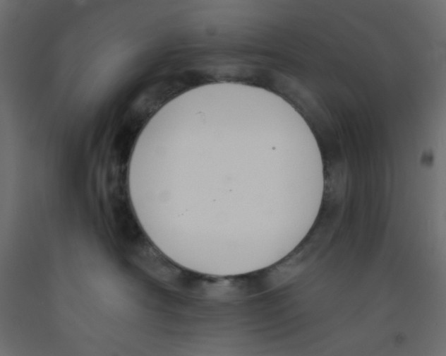 X0000092320430200710121526
