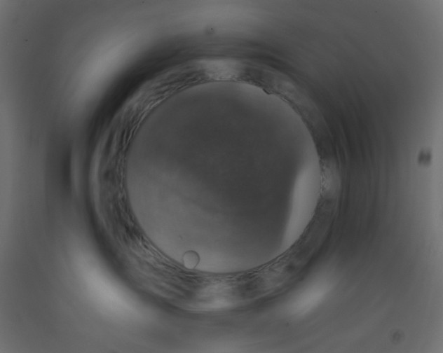 X0000092320431200710121526