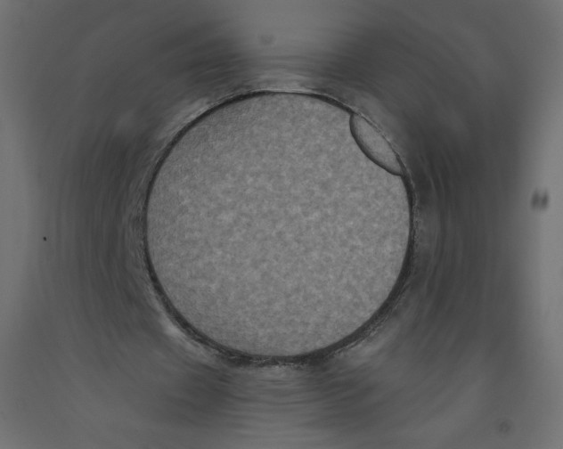 X0000092320433200710121525