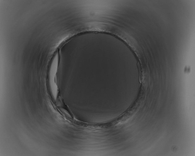 X0000092320434200710121525