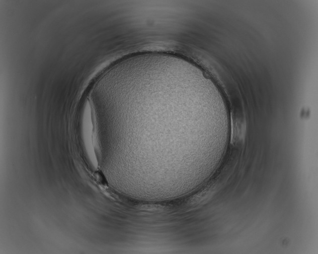 X0000092320435200710121525