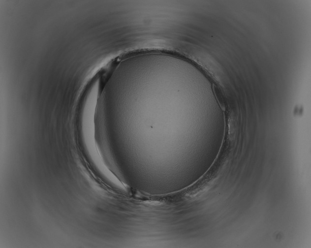 X0000092320436200710121525