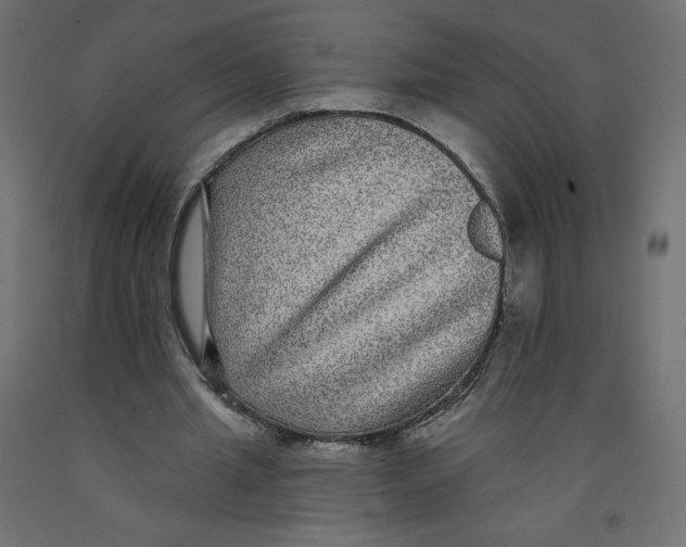 X0000092320437200710121525