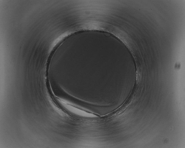 X0000092320438200710121525