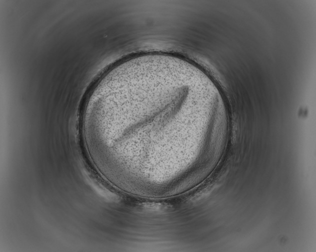 X0000092320439200710121525