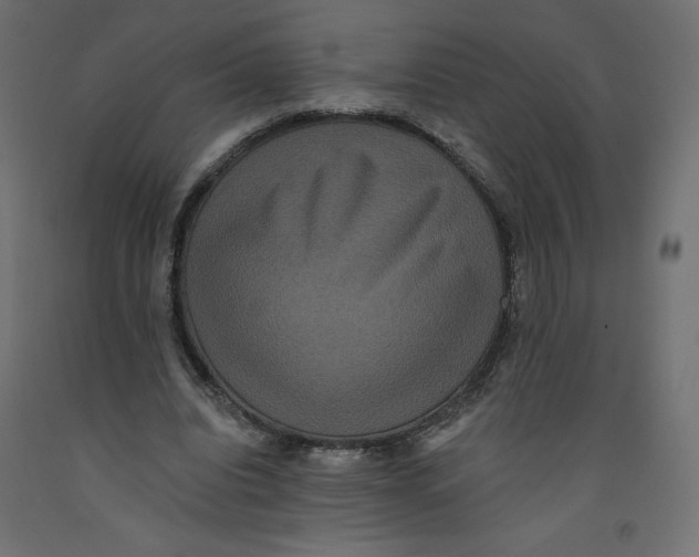X0000092320440200710121525