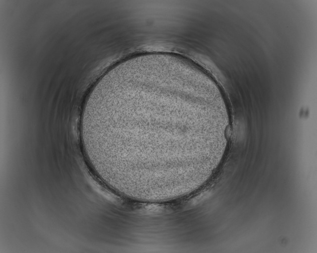 X0000092320441200710121525