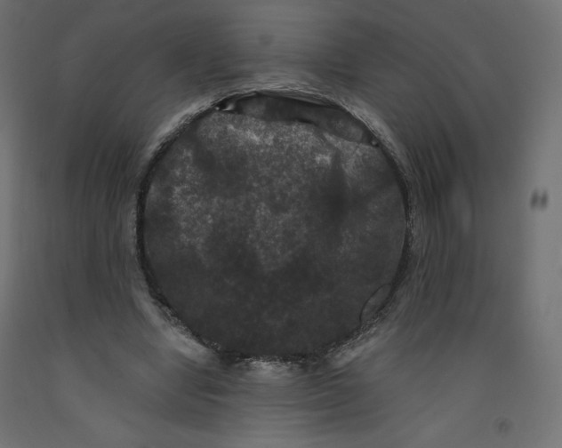 X0000092320442200710121525