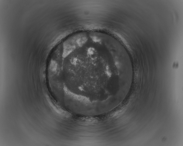 X0000092320443200710121525