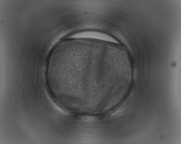 X0000092320444200710121525