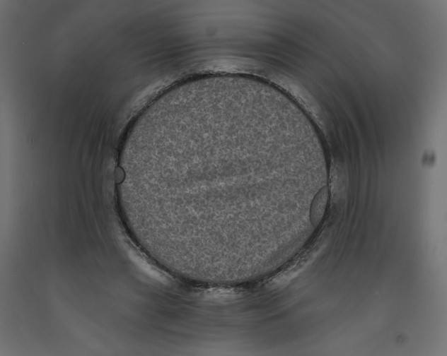 X0000092320445200710121525
