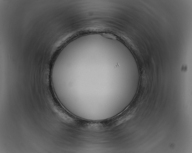 X0000092320446200710121525