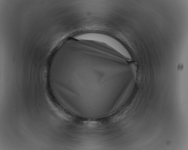 X0000092320448200710121525
