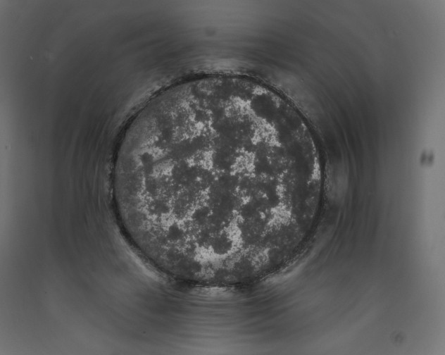 X0000092320449200710121525