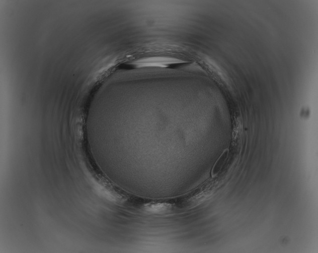 X0000092320452200710121525
