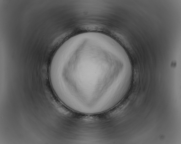 X0000092320453200710121525