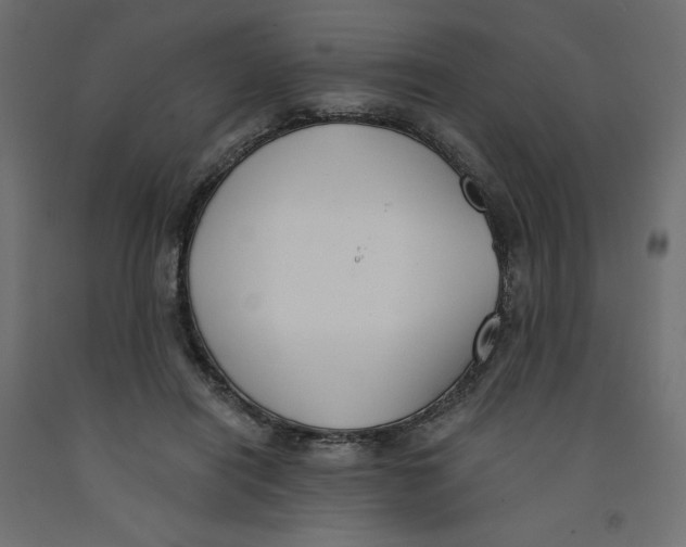 X0000092320454200710121526