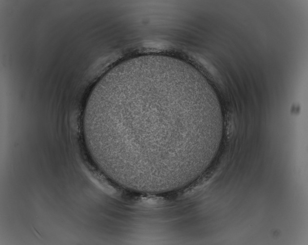 X0000092320455200710121526