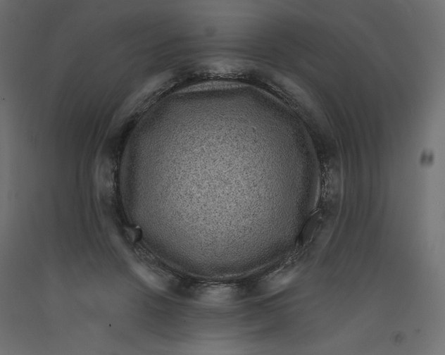 X0000092320456200710121526