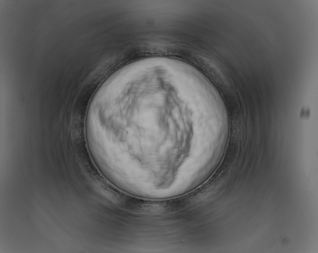 X0000092320457200710121526