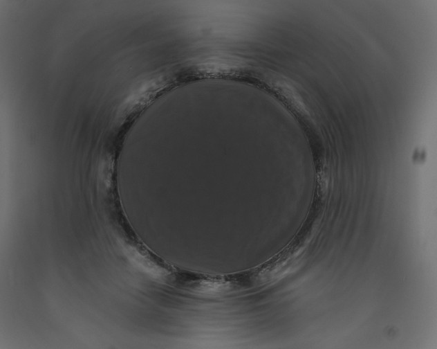 X0000092320458200710121526