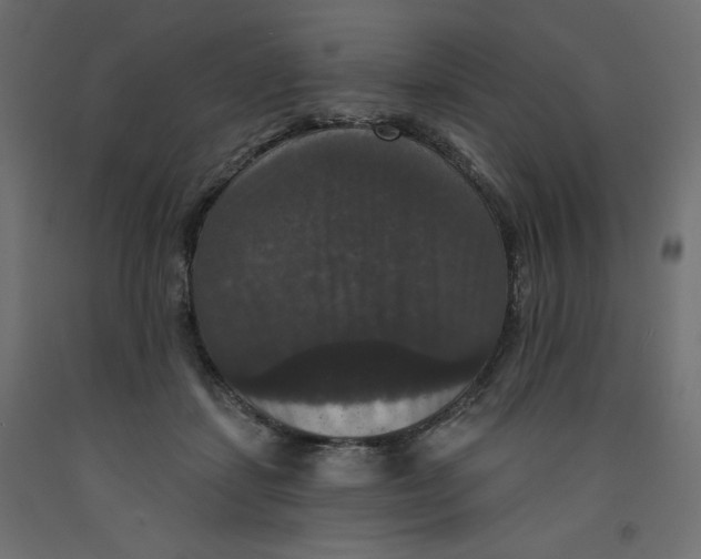 X0000092320459200710121526