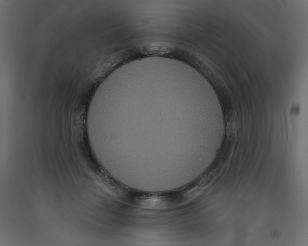 X0000092320460200710121526
