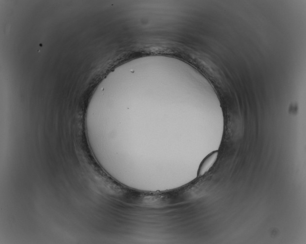 X0000092320461200710121526