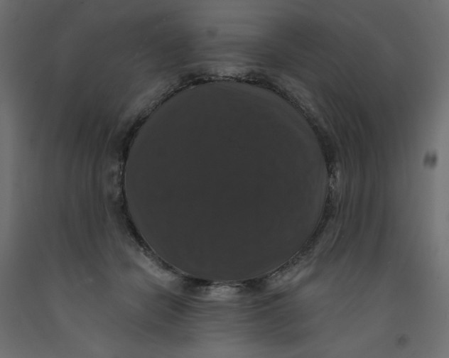 X0000092320462200710121526