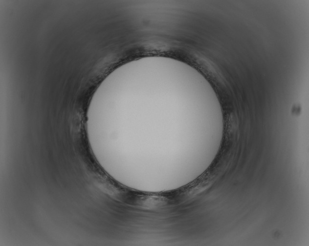 X0000092320463200710121526
