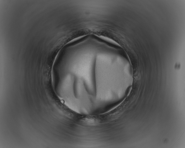 X0000092320464200710121526