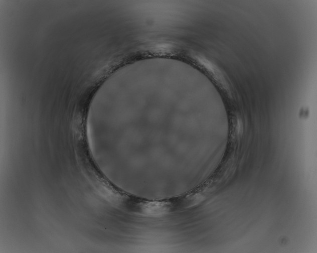 X0000092320465200710121526