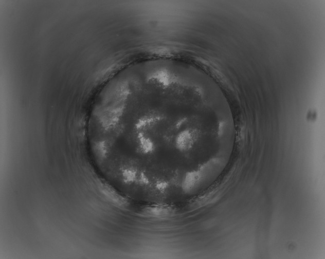X0000092320466200710121526