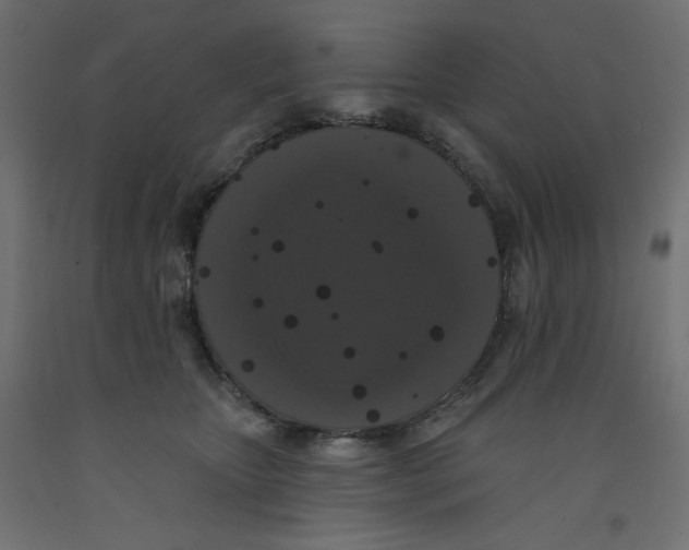 X0000092320467200710121526