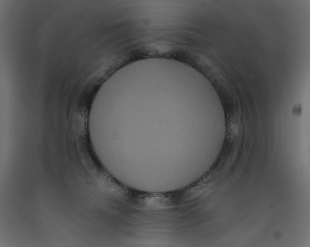 X0000092320468200710121526