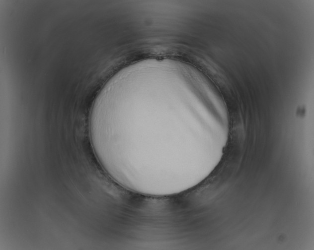 X0000092320469200710121526