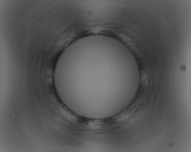 X0000092320470200710121526