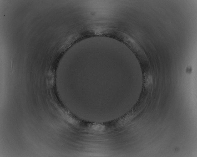 X0000092320471200710121526