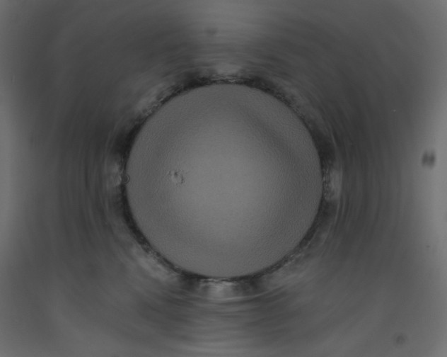 X0000092320472200710121526