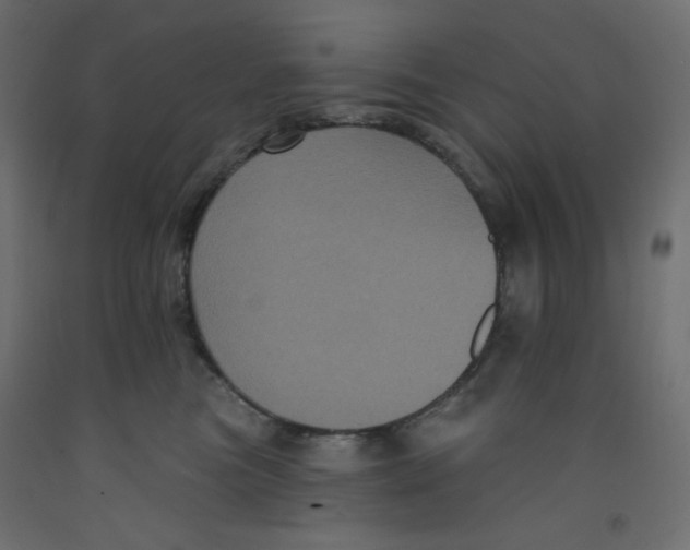 X0000092320473200710121526