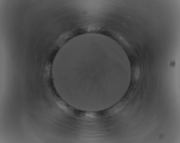X0000092320475200710121526