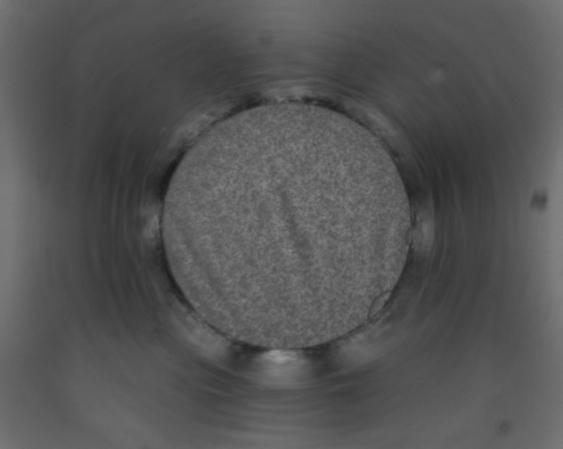 X0000092320477200710121526