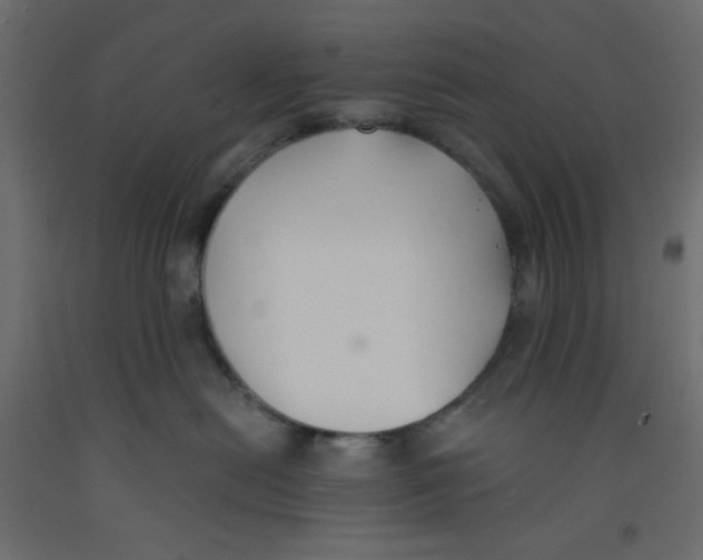 X0000092320478200710121526