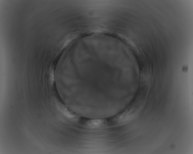 X0000092320479200710121526