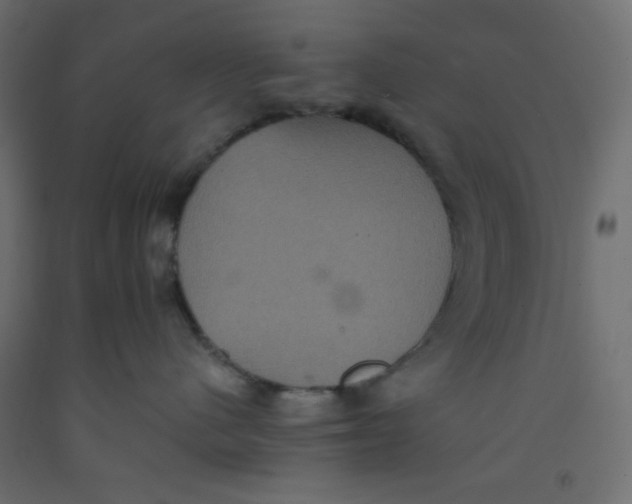 X0000092320480200710121526