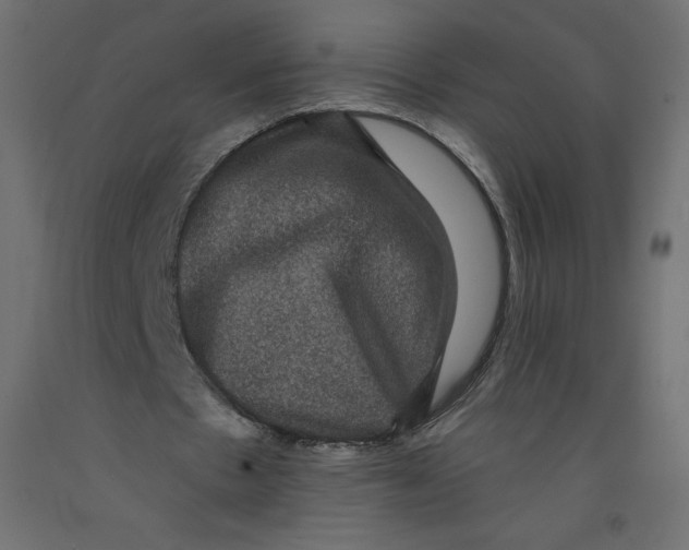 X0000092320481200710121525